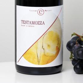 Wein & Spumante-Testamozza - Rotwein von Castrum Morisci-