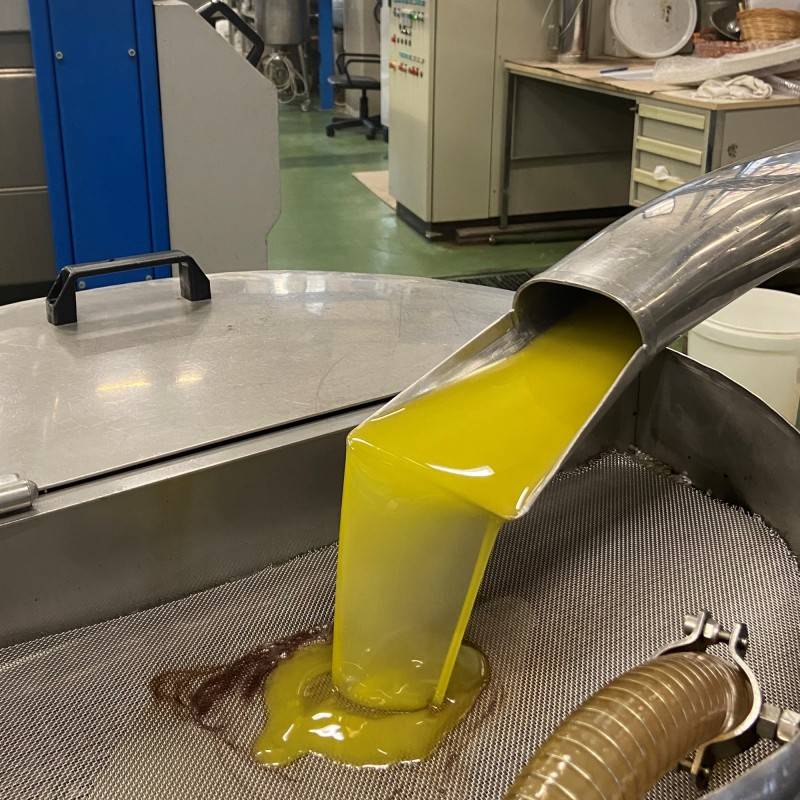 Startseite-3 Flaschen "Carassai" 500 ml - unser eigenes Buonaroma Olivenöl Jahrgang 2022- Startseite-3 Flaschen "Carassai" 500 ml - unser eigenes Buonaroma Olivenöl Jahrgang 2022-