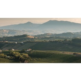 Rocciamara - Kit mit 2 exklusiven Rotweinen von Il Conte Villa Prandone