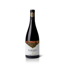 Wein & Spumante-Marinus - exklusiver Rotwein von Il Conte Villa Prandone-