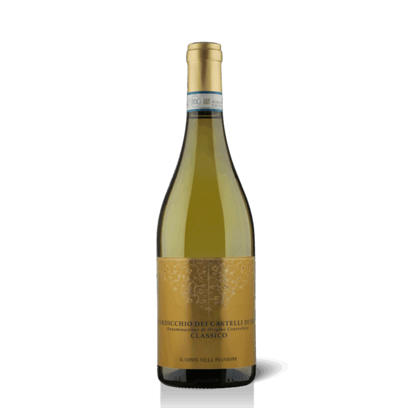 Startseite-Verdicchio dei Castelli di Jesi - der berühmteste Weisswein aus "Le Marche"-