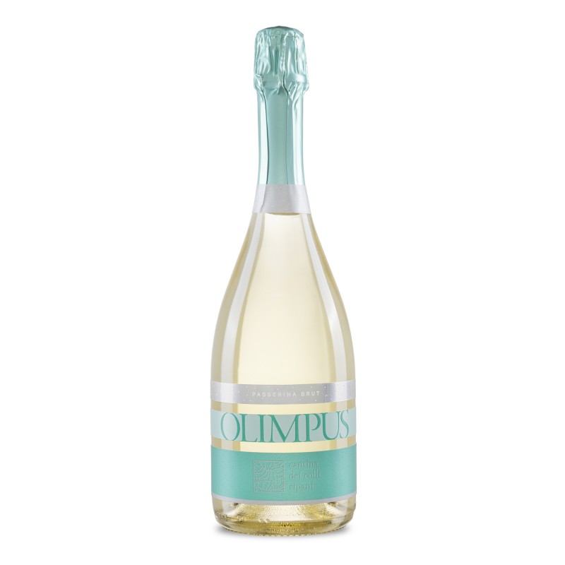 Wein & Spumante-Olimpus - Spumante Brut von Colli Ripani- Wein & Spumante-Olimpus - Spumante Brut von Colli Ripani-