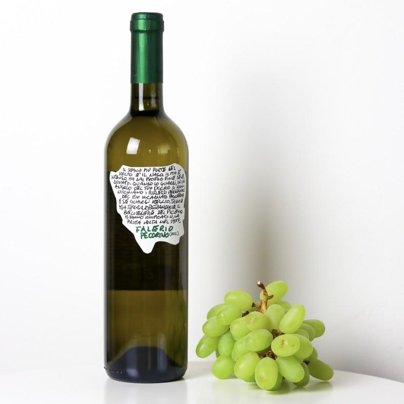 Wein & Spumante-"settantase77e" - Pecorino Weisswein von Colli Ripani-