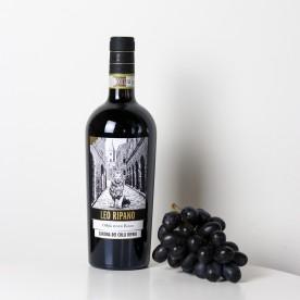 Wein & Spumante-Leo Ripano - Rosso Offida von Colli Ripani-